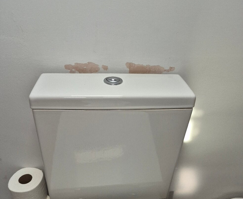 牡蛎康内尔酒店主图
