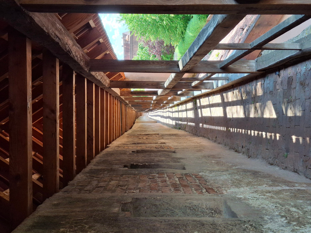 Historische Stadtmauer-讷德林根必去景点