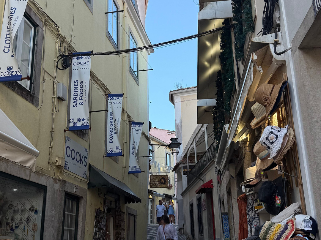 Odyssey Tours - Day Tours & Experiences-里斯本必去景点