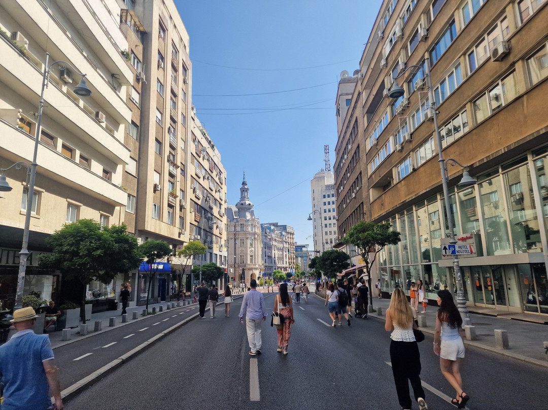 Calea Victoriei-布加勒斯特必去景点