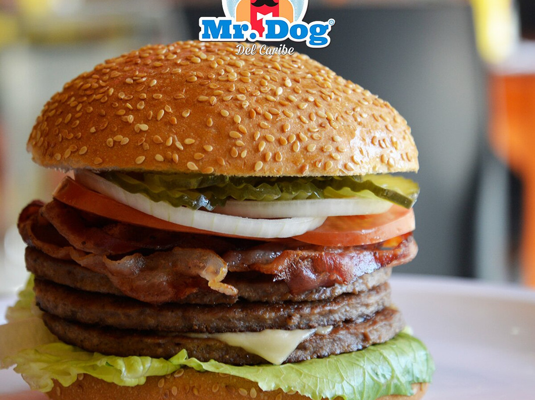 Mr Dog del Caribe