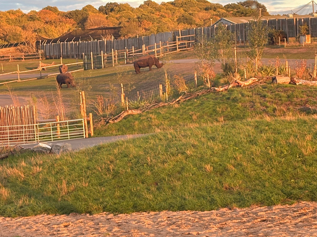 Safari Lodges At West Midlands Safari Park主图