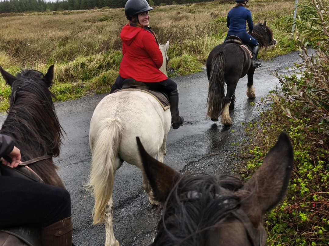 Mountain View Horse Riding Centre-Lisdoonvarna必去景点