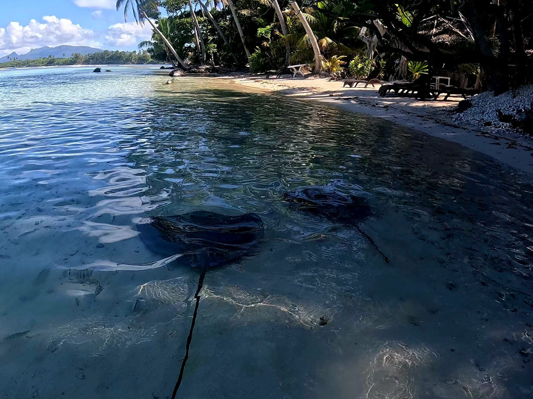 Terainui Tours Excursions Tahaa-Haamene必去景点