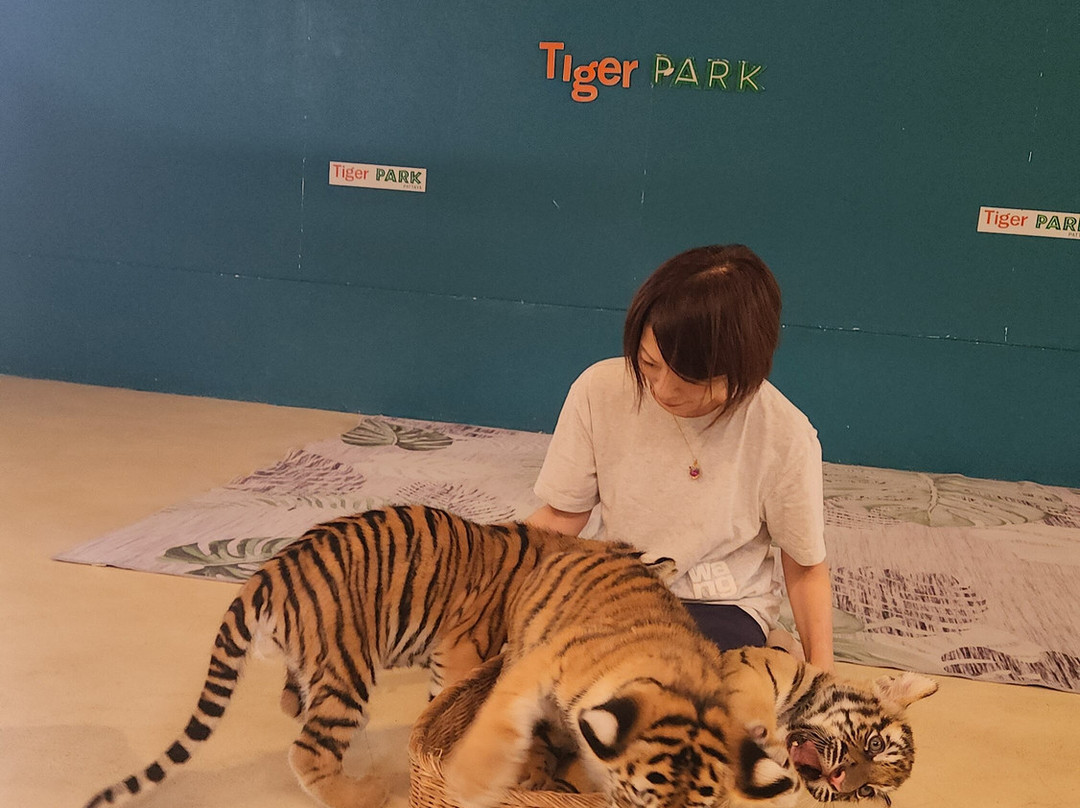 Tiger Park Pattaya-芭堤雅必去景点