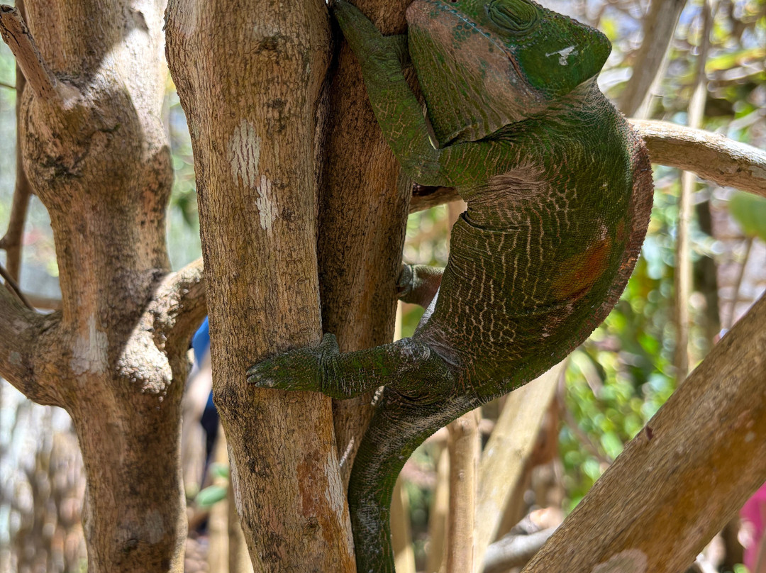 Christian Madagascar Tours-安齐拉贝必去景点
