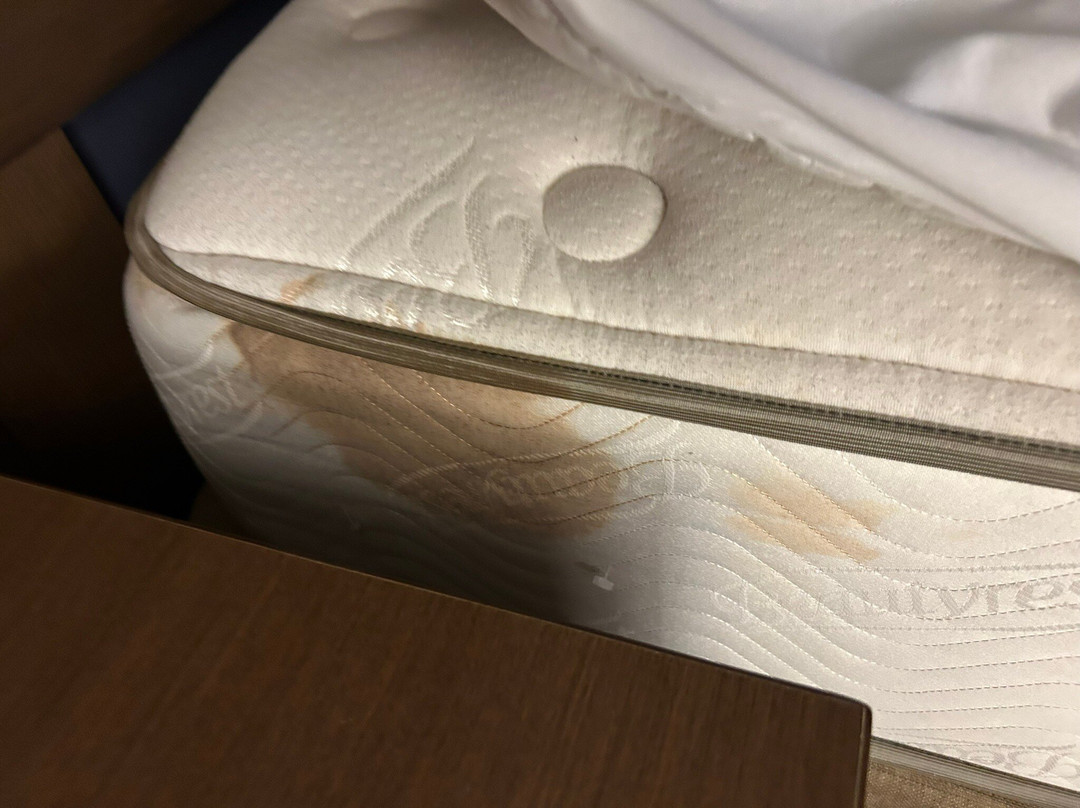 布法罗加莱里亚购物中心居家酒店