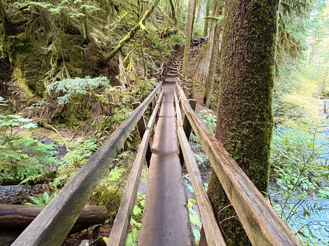 Marymere Falls-安吉利斯港必去景点