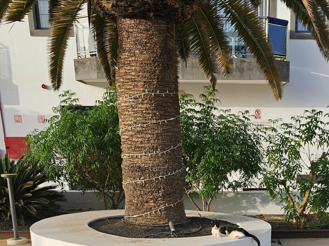 布兰卡码头科蒂亚酒店主图