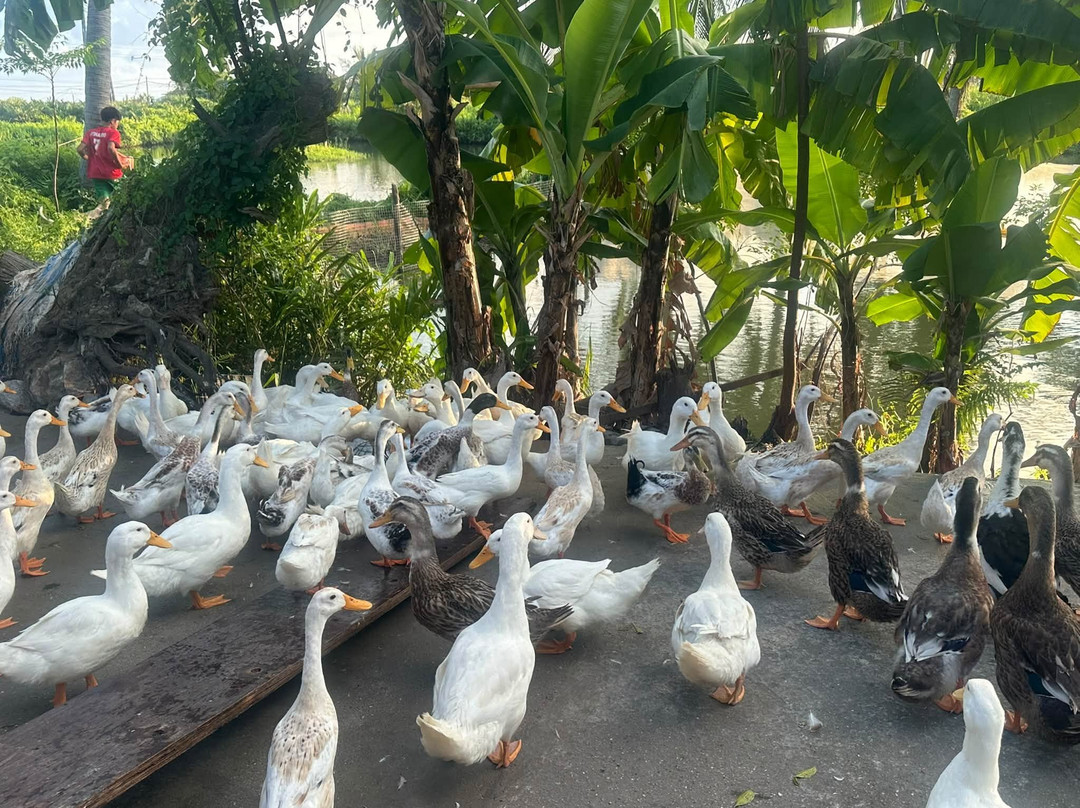 Cua Van Floating Village-下龙湾必去景点