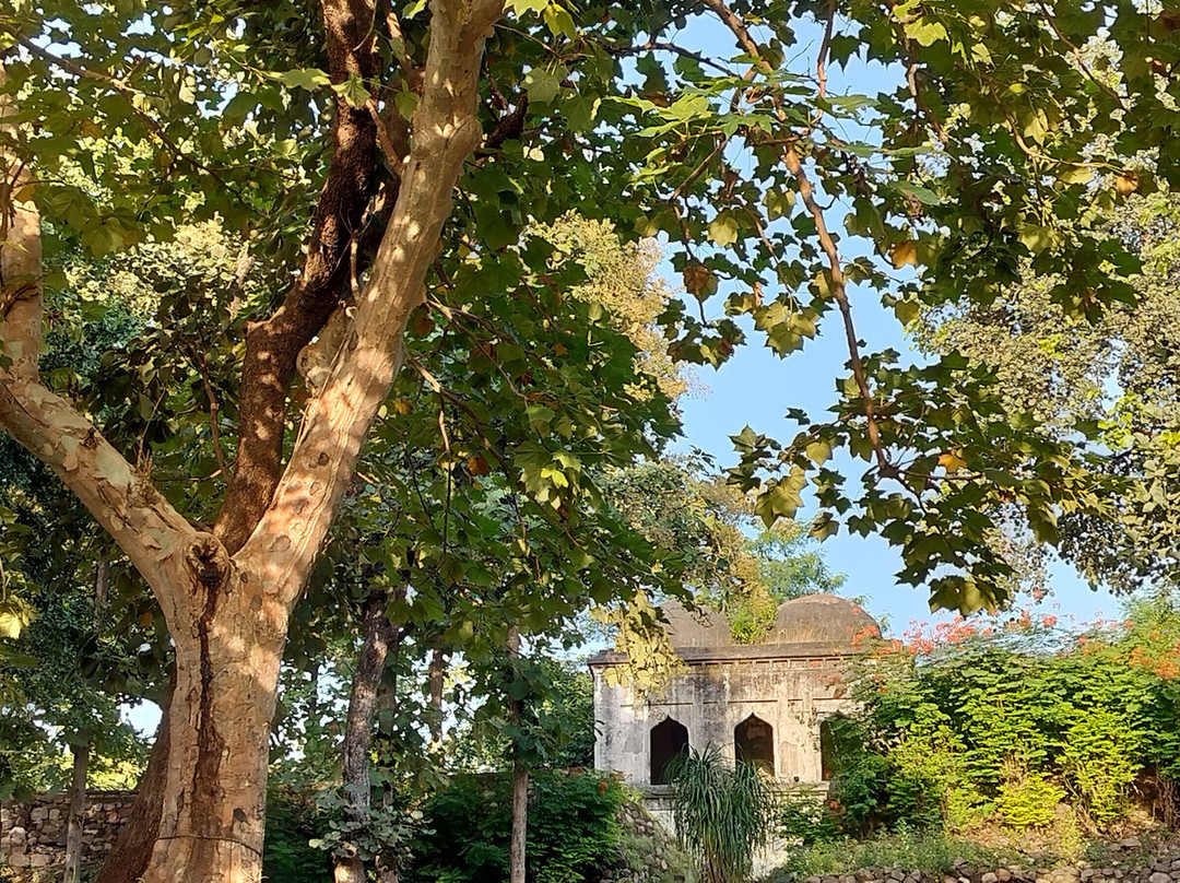 MPT Betwa Retreat, Orchha主图