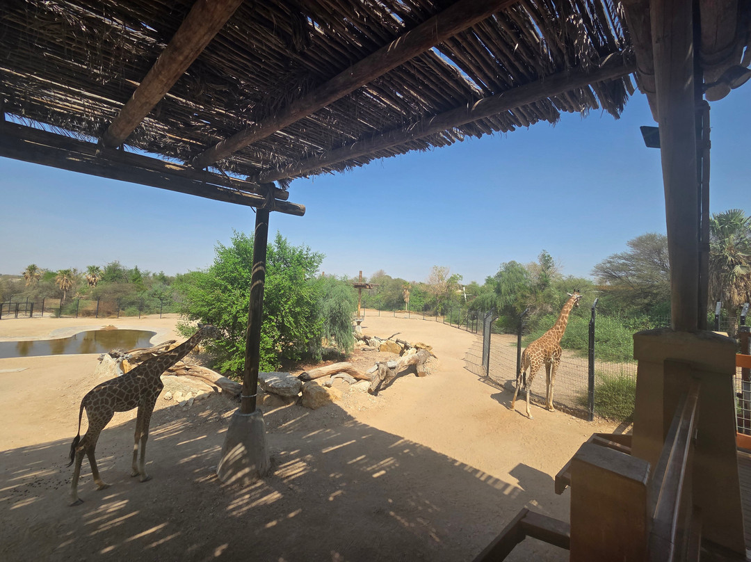 Al Ain Zoo 2017 2018 2019-艾因市必去景点