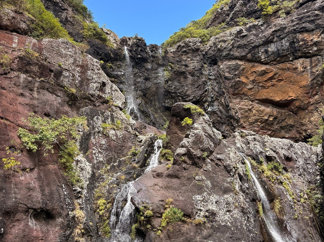 Tamarin Falls-Vacoas-Phoenix必去景点