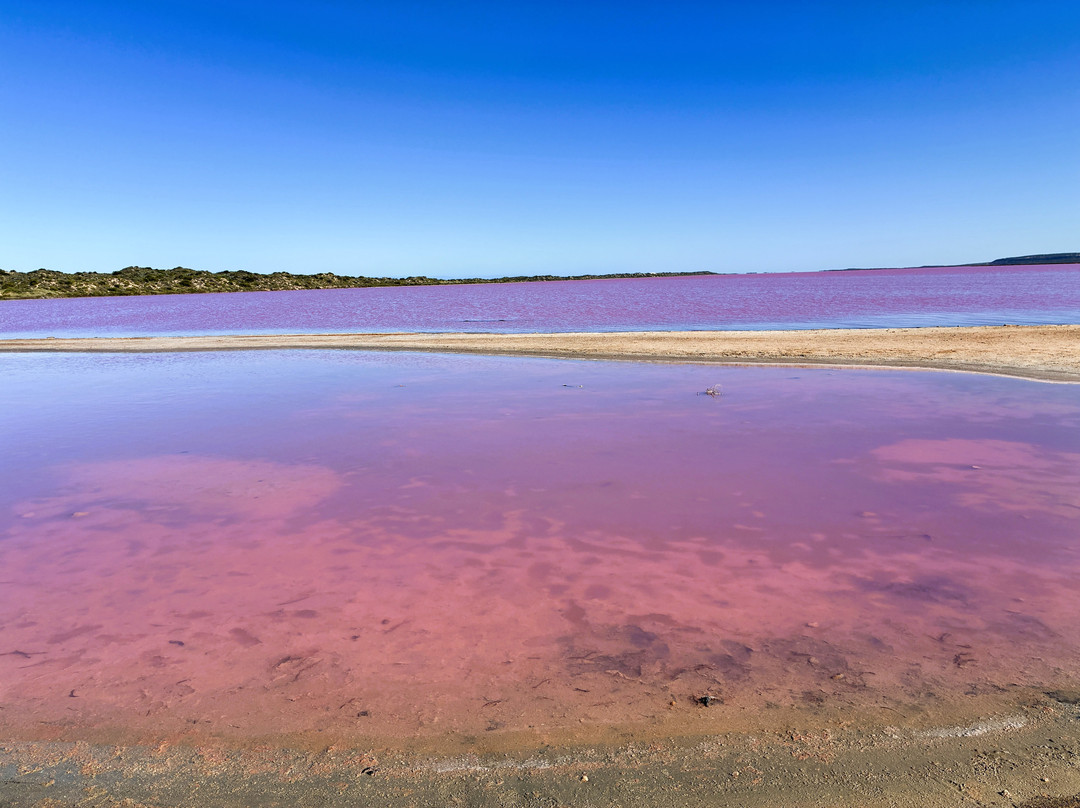 Pink Lake-卡尔巴里必去景点