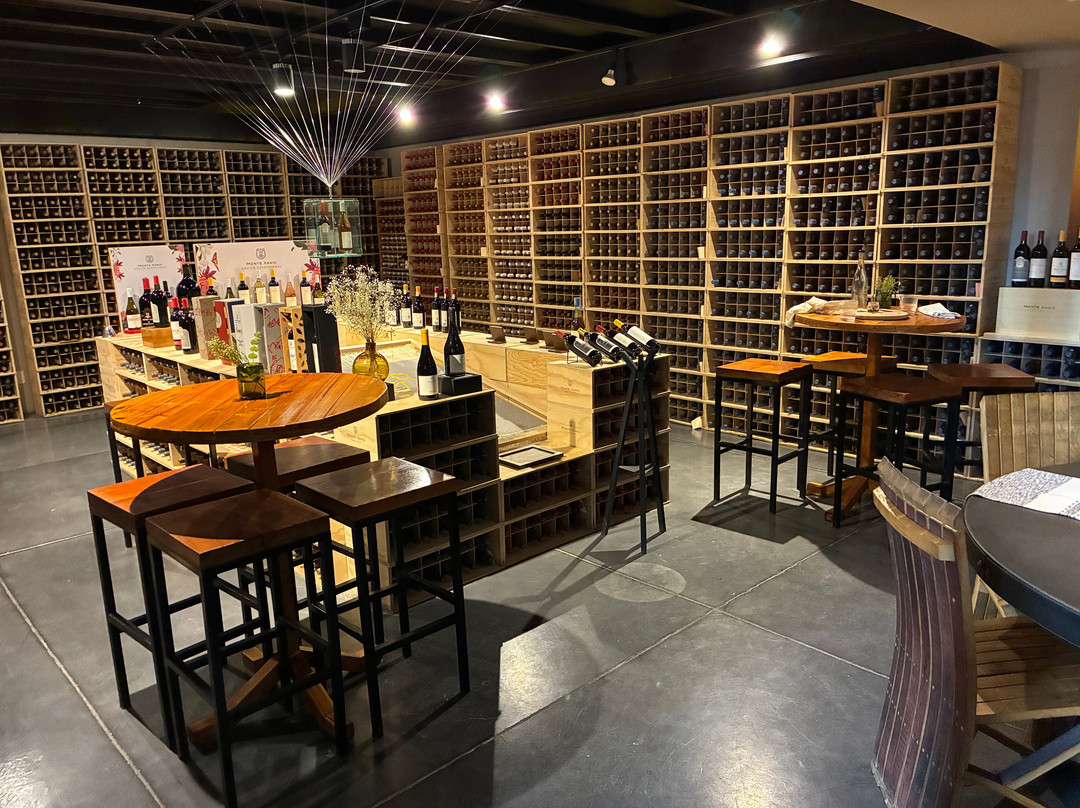 Monte Xanic Bodega Vinícola-Valle de Guadalupe必去景点