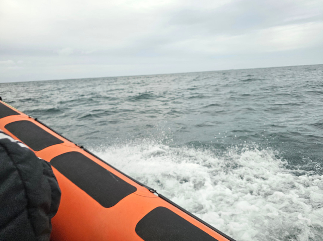 Eyemouth Rib Trips-Eyemouth必去景点