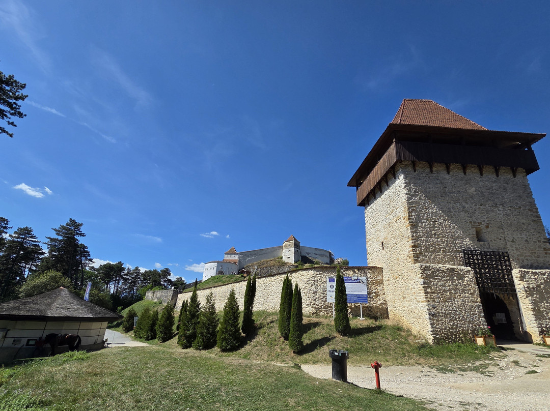 Rasnov Citadel: Garden and Panoramic View-拉斯诺夫必去景点