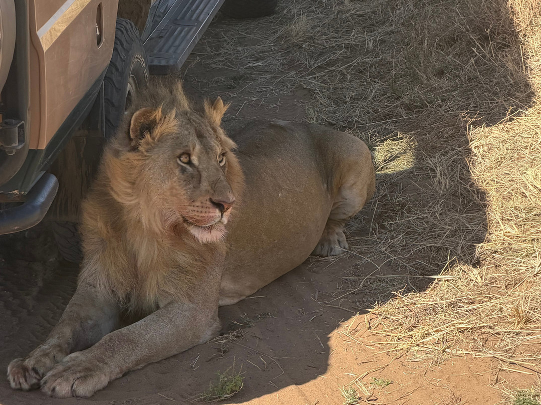 Sereland Africa Safaris-Sakina必去景点
