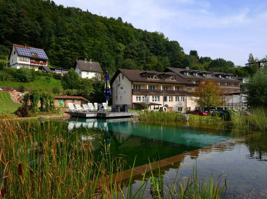 Heimbuchenthal旅游攻略图片