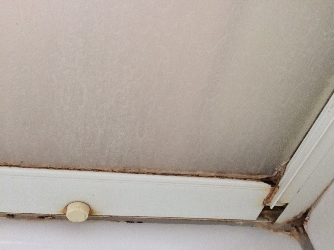 Hotel Muensterer Hof