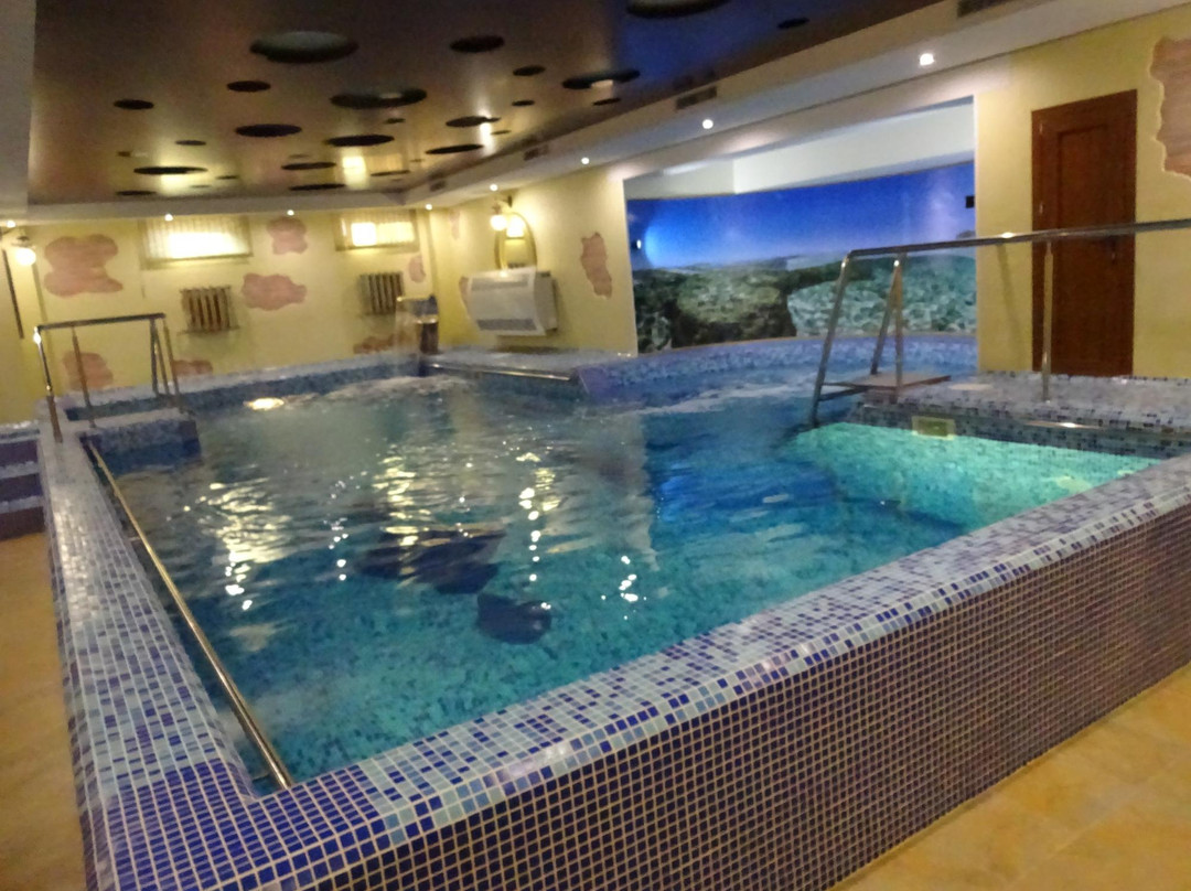 Zheleznovodsk酒店住宿-SPA Hotel Rafael