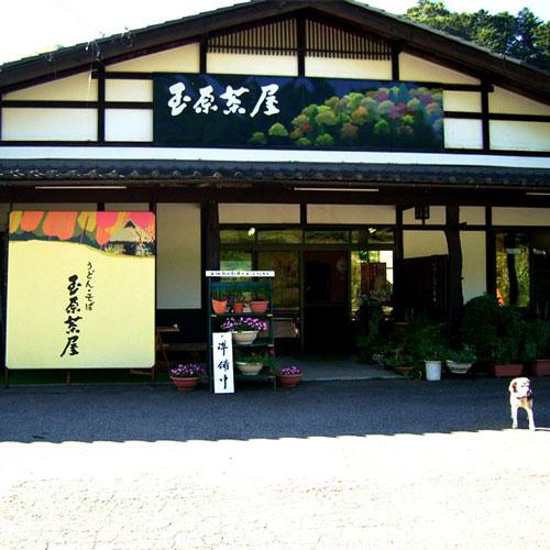 Mizubasho-官方