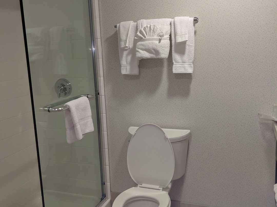 Holiday Inn Express & Suites Santa Clara - Silicon Valley By IHG主图