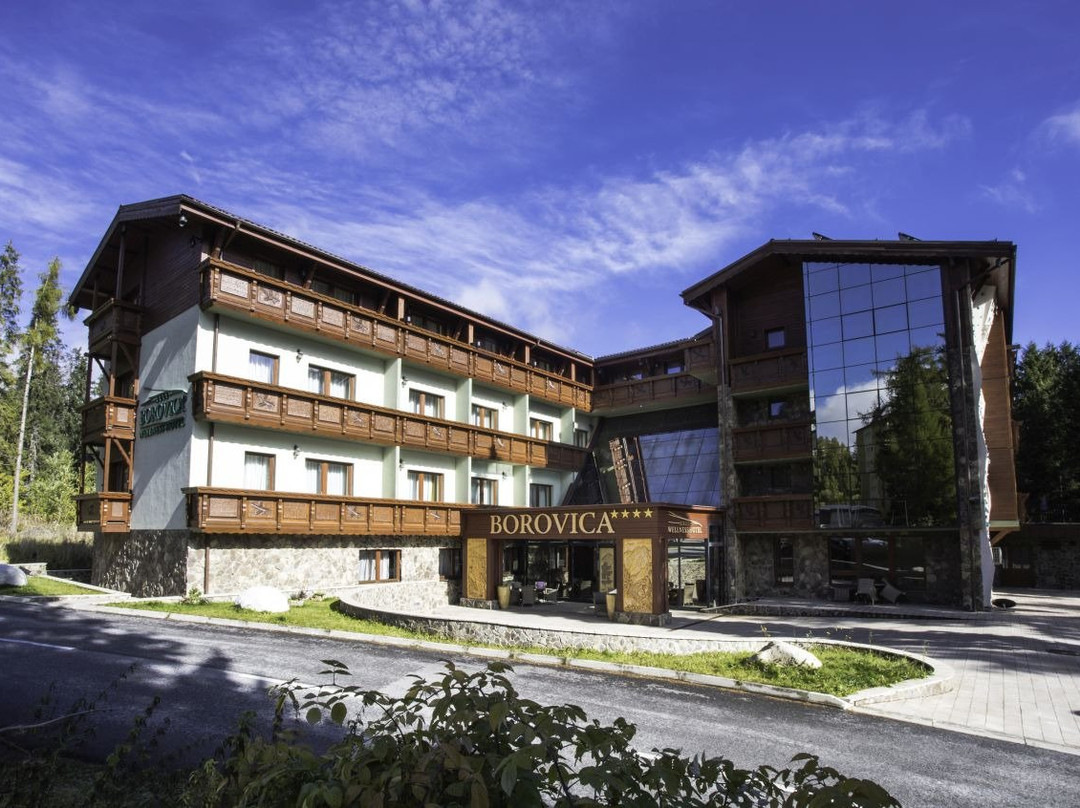 Wellness Hotel Borovica