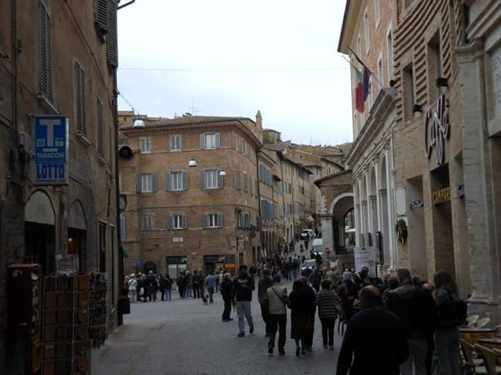 IAT Urbino Center景点图片