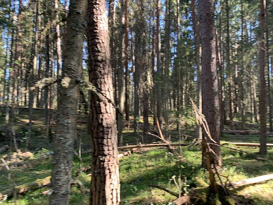 Hageri-Sutlema rannamoodustised-Vilivere必去景点