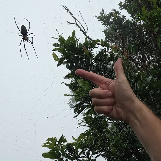 Mount Sorrow-Cape Tribulation必去景点