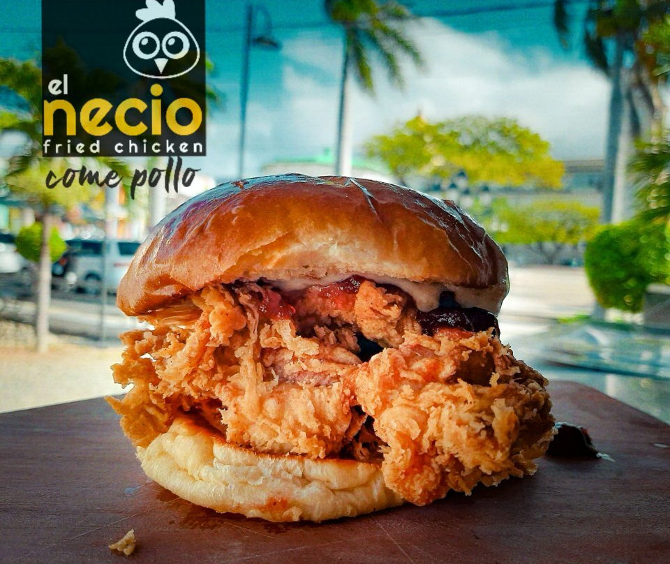El Necio Fried Chicken