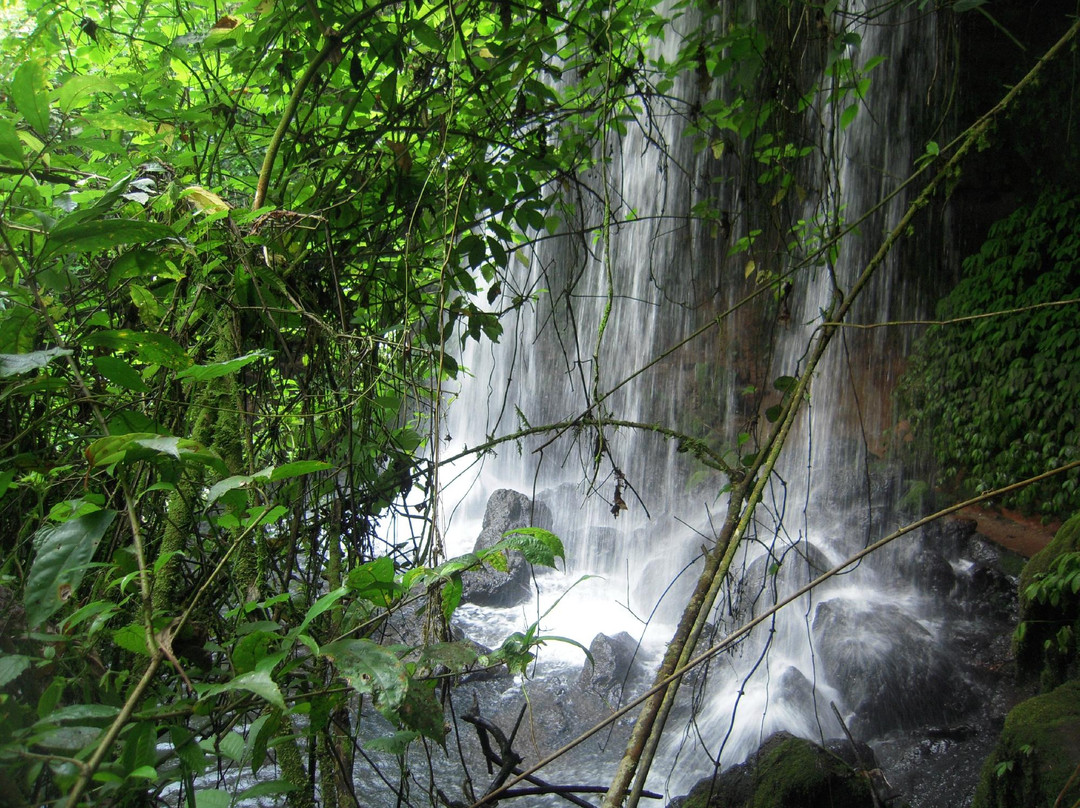 Fort Portal旅游景点-Amabere Caves