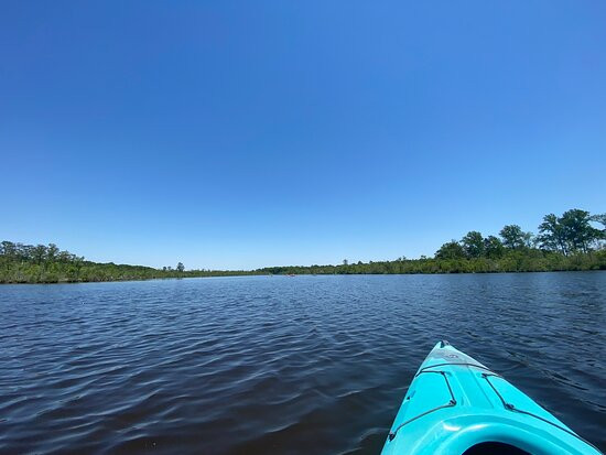 Blackwater Adventures景点图片