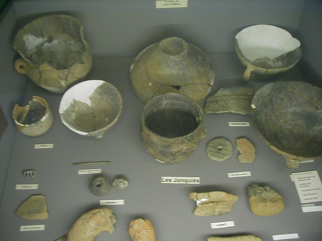 Musee Archeologique Jean Saluste景点图片