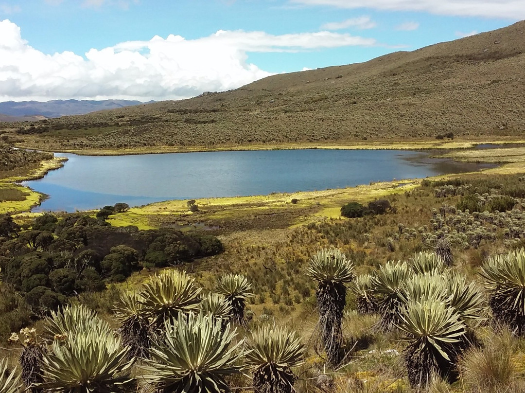 Parque Nacional Natural Sumapaz景点图片
