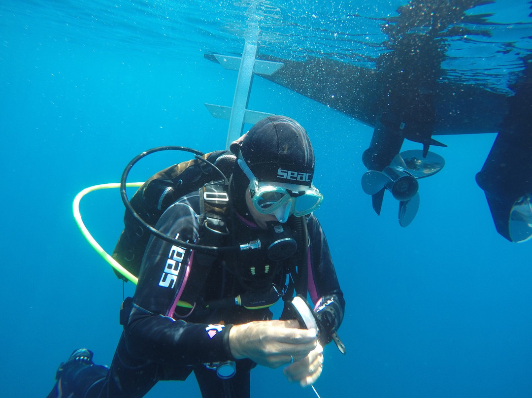 Blue Thunder Diving-利马索尔必去景点