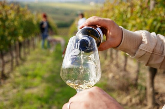 La Combarbia Winery Montepulciano-Cervognano必去景点