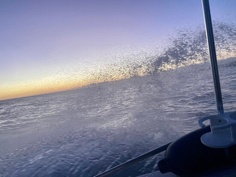 Captain Chad’s Charters-威可洛亚必去景点