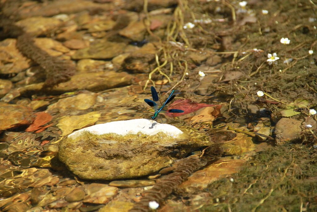 Saint Rome Plage Locations nautiques-Saint-Rome-de-Tarn必去景点