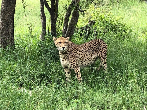 Ntombi Safaris-霍德斯普鲁特必去景点