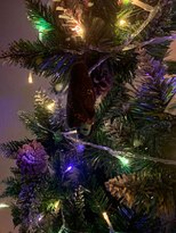 Boutique du Vampyre-新奥尔良必去景点