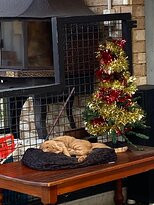 Wilson Brewing Company-奥尔巴尼必去景点