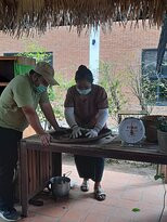 Araksa Tea Plantation - Day Tours-清迈必去景点