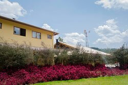 Go Organic Experience主图