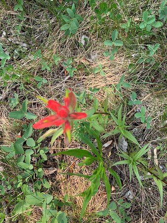 Kananaskis Valley-卡那那斯基斯必去景点