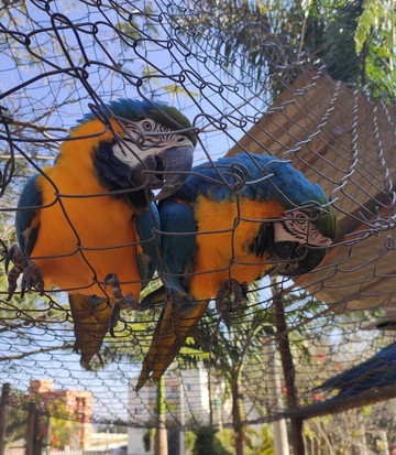 Recanto Haras São Roque主图