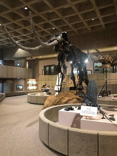 Grave Creek Mound Archaeological Complex-Moundsville必去景点