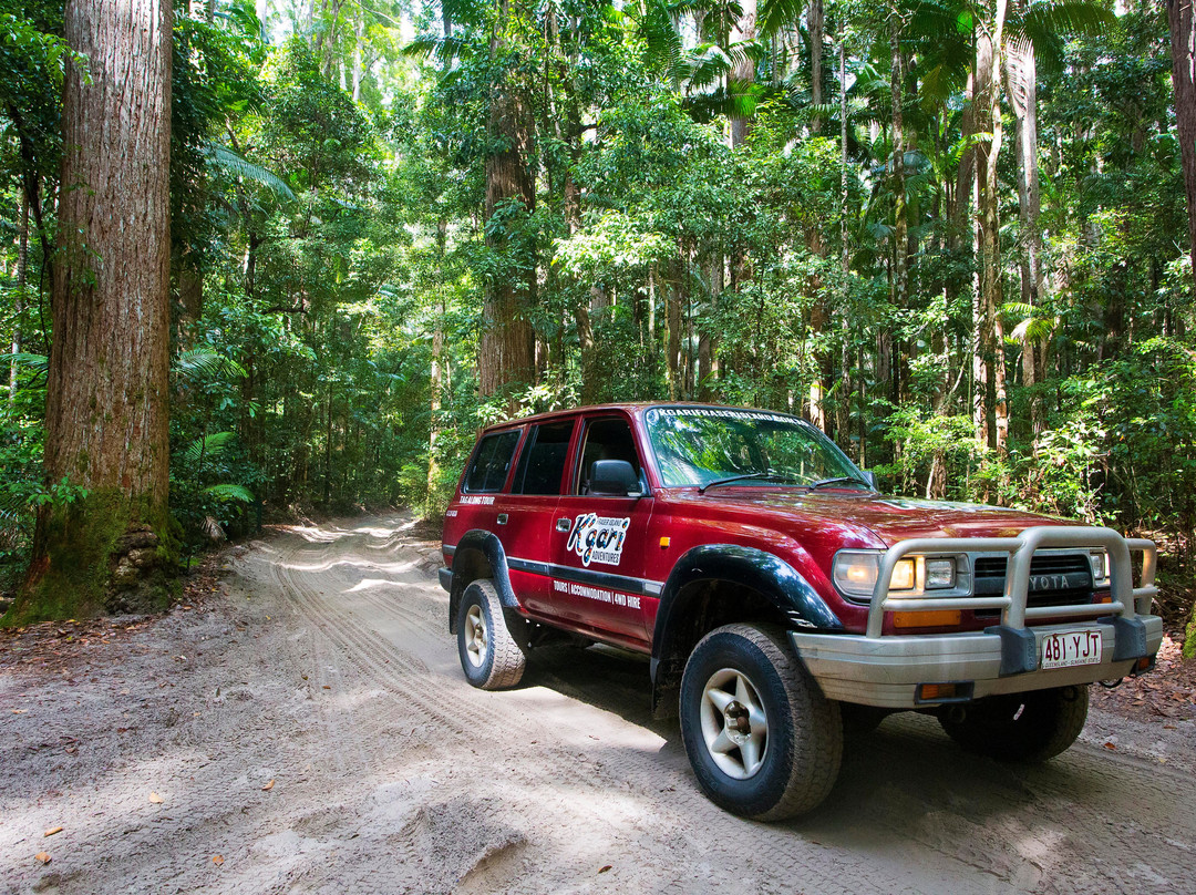 Drop Bear K'gari Fraser Island Adventures-弗雷泽岛必去景点