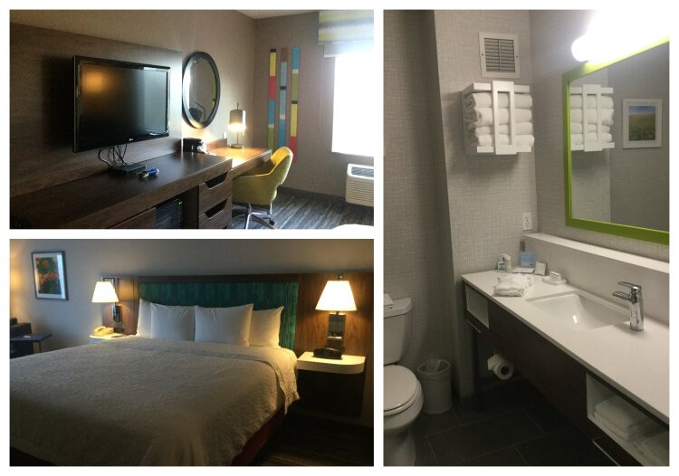 雷德布拉夫希尔顿恒庭旅馆&套房酒店主图